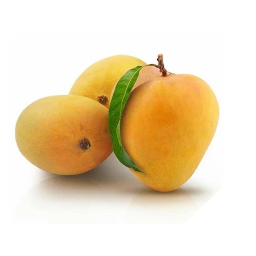 Mango Alphonso